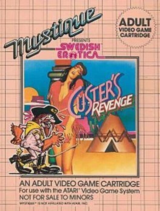 Custer's Revenge for Atari 2600 game image