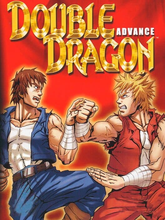 Double Dragon Advance for GBA game image