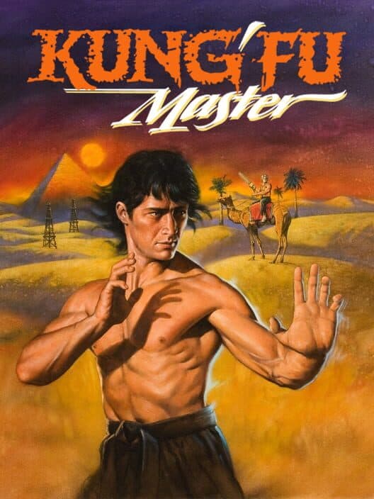 Kung Fu Master for Game Boy game image