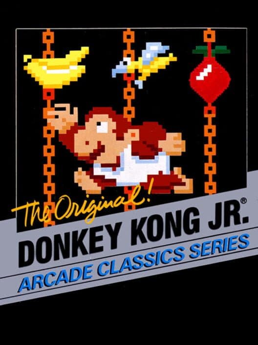 Donkey Kong Jr for NES game image