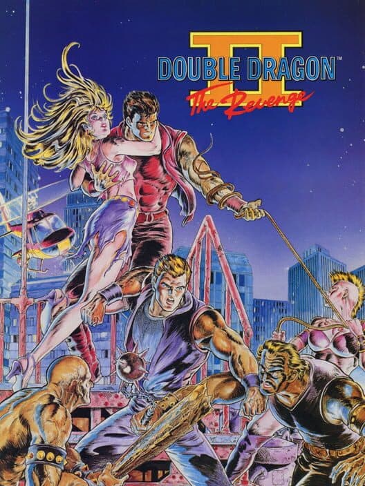 Double Dragon II for NES game image