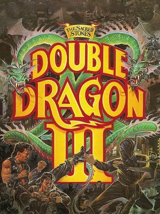 Double Dragon III for NES game image