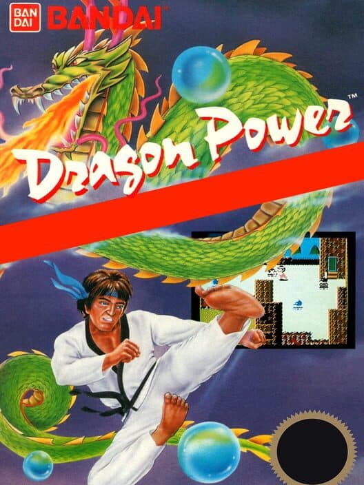 Dragon Power for NES game image