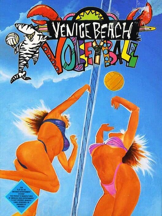 Venice Beach Volleyball for NES game image