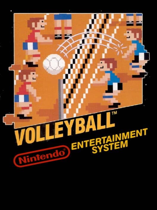 Volleyball for NES game image