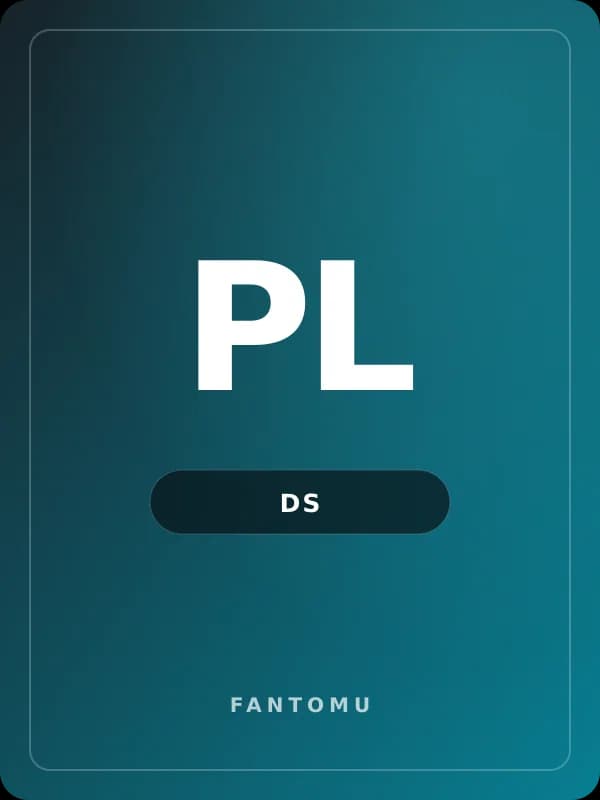Playground for DS game image