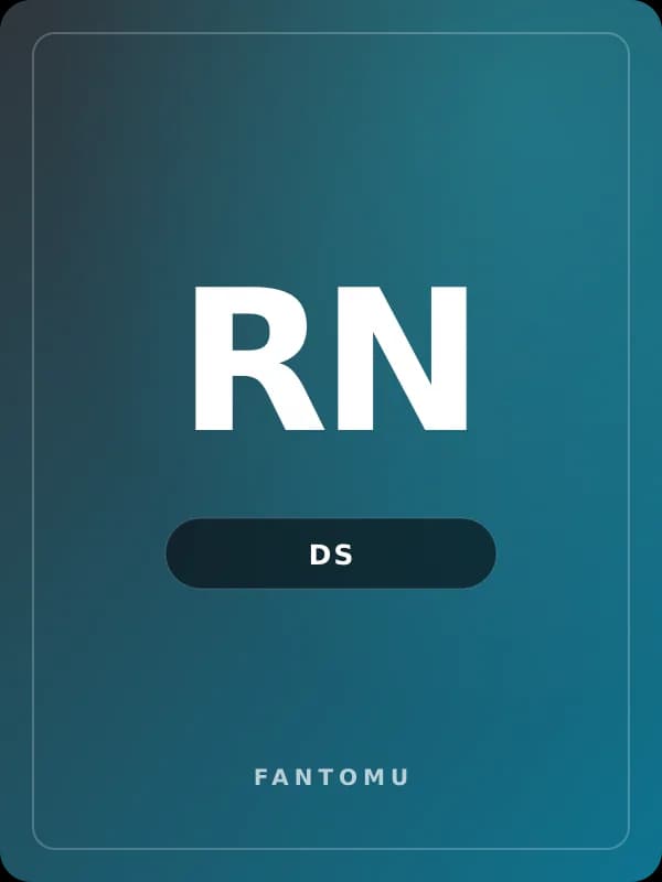 Rhythm N Notes for DS game image