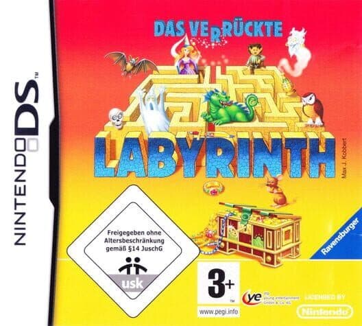 ThinkSmart: Labyrinth for DS game image