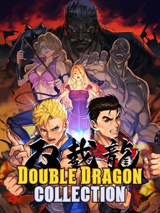 Double Dragon Collection for Switch game image