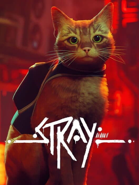 Stray for Switch game image