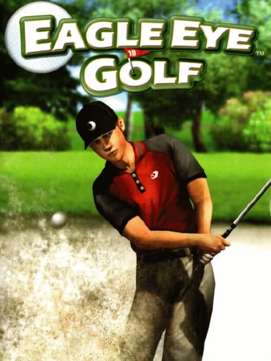 Eagle Eye Golf for PS2 game image