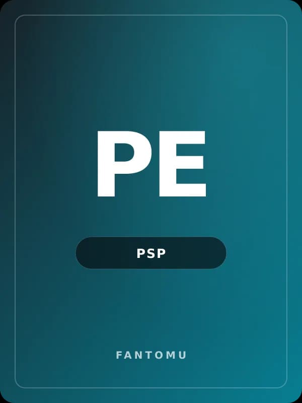 PSP E1004 for PSP game image