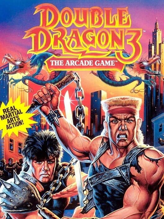 Double Dragon III The Arcade Game for Sega Genesis game image
