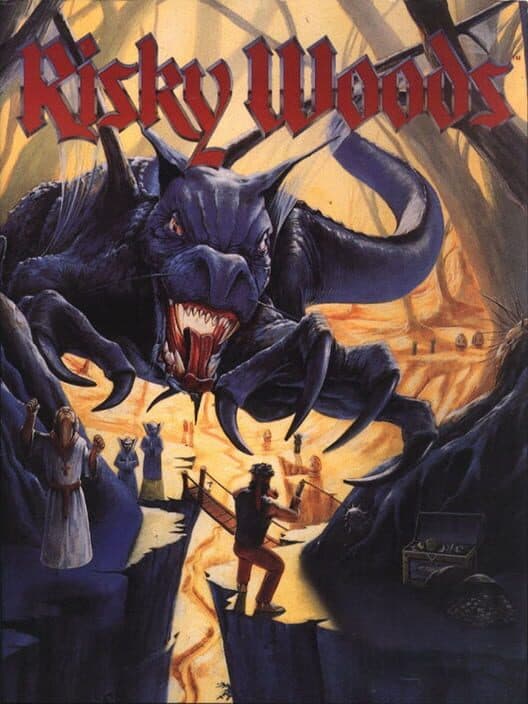 Risky Woods for Sega Genesis game image