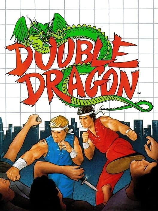 Double Dragon for Sega Master System game image