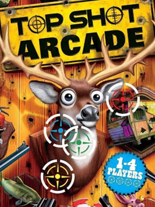 Top Shot Arcade for Wii game image